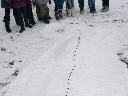 spotkanie_dm_8_20120216_1879766063