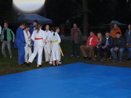 festyn_35_20131109_2094389115