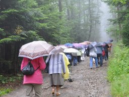 czermna_i_tuchow_8_20130715_1168715687