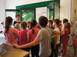 polkolonie_42_20140831_1203161475