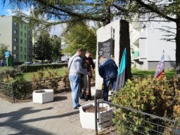 koronka_20151015_1359492527