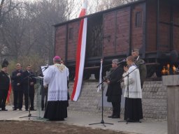 pomnik_20151112_1357939740