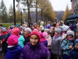 sw_marcin_20151130_1773848927