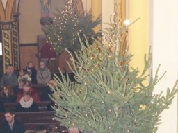 bn_20170113_1193469597