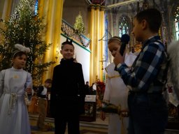 jaselka_20170113_1600725010