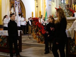 jaselka_20170113_1653353922