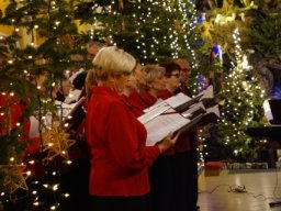 koncert_20170113_1753258937