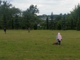 _20181118_1137848528