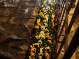 _20180330_1280374722