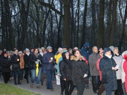 _29_20190509_1818368713