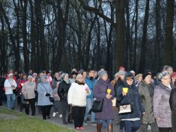 _32_20190509_1336139213