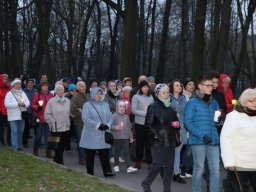 _33_20190509_1731461961