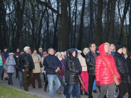 _36_20190509_1468160567