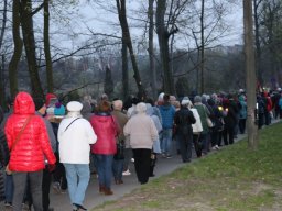 _39_20190509_1001063614