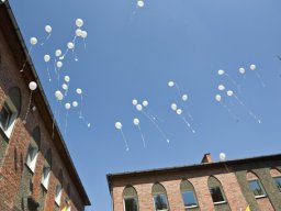 _68_20190606_1765380241