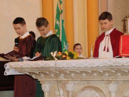 _38_20190509_1260024943