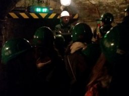 _28_20190509_1591036394