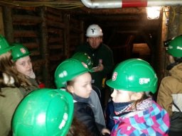 _32_20190509_1016696731