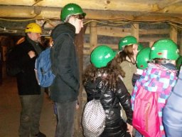 _33_20190509_1442229008