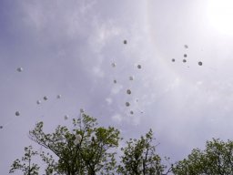 _20210829_1250285919